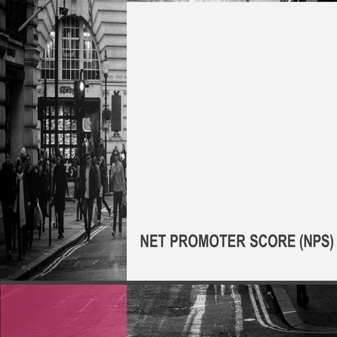 Net promoter score