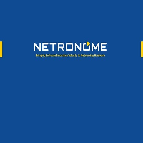 Netronome Corporate Brochure