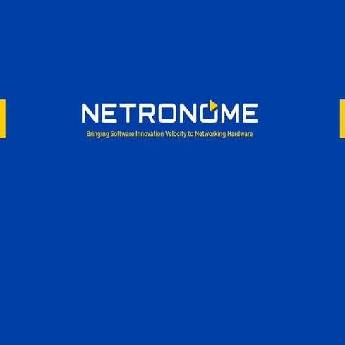 Netronome Corporate Brochure