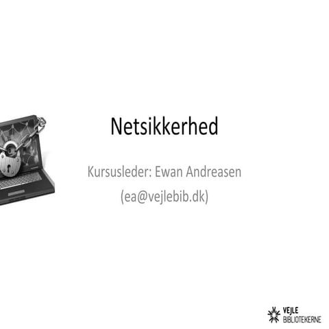 Netsikkerhed 2013