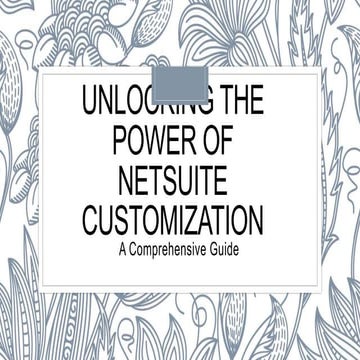 NetSuite Custemization