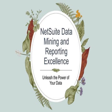 NetSuite Data Mining and Reporting