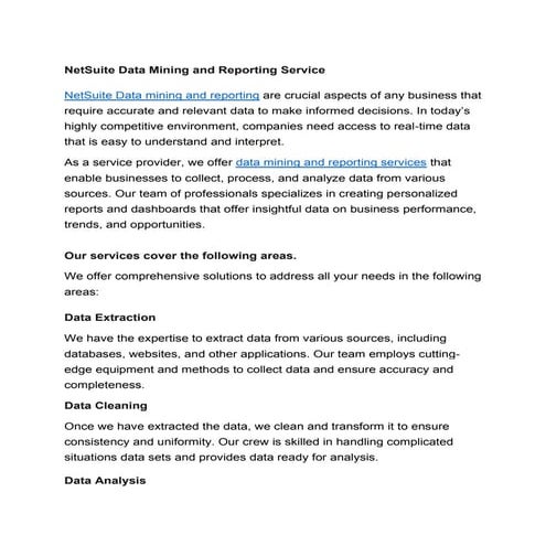 NetSuite Data Mining and Reporting Service
