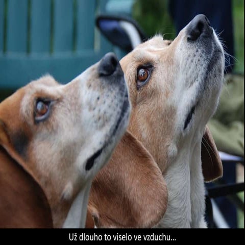 Nette: jak rozbít atom?