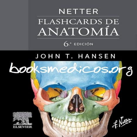 Netter Flashcards Anatomia 6a Edicion.pdf