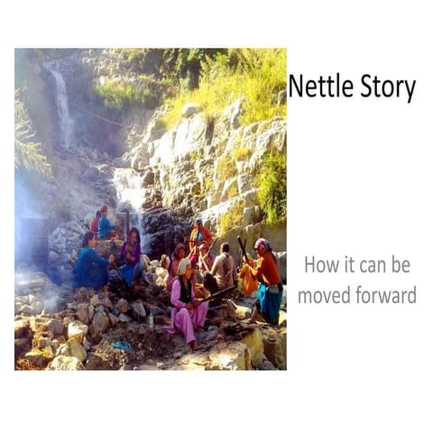 About Nettle initiative in Uttarakhand | PPTX