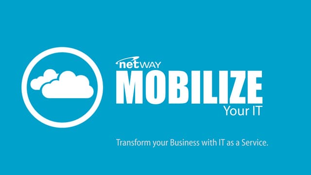 Netway profile