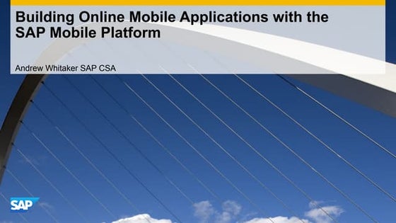 NetWeaver Gateway Development Paradigm