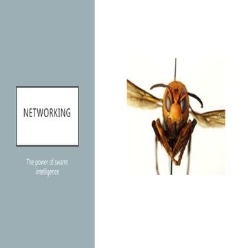 Network and relationship building presentation 2020
