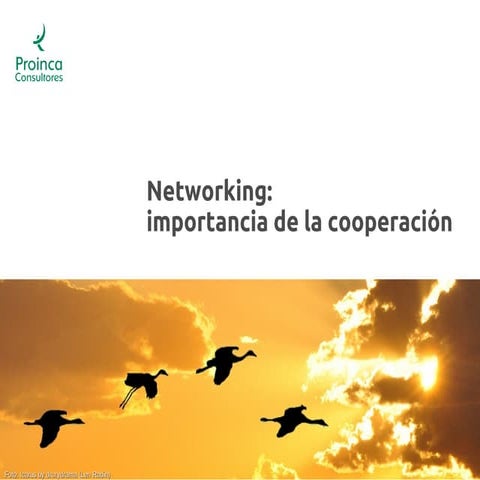 Que es networking | PPT