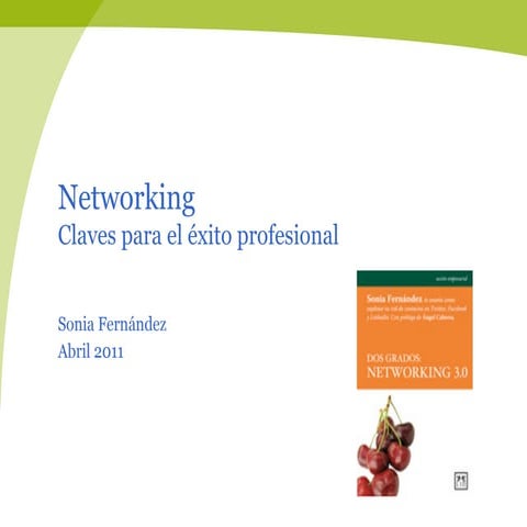 Networking claves para el éxito empresarial  huelva 2011