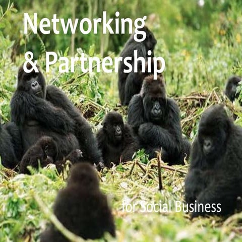 Networking & Partnership