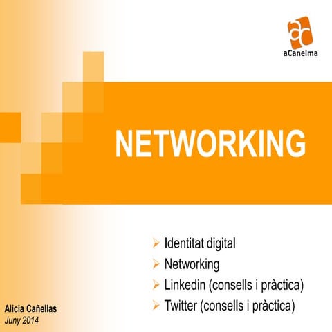 Sessió "Identitat digital i Networking" a Promodespí