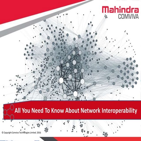 All You Need To Know About Network Interoperability