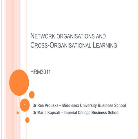 Network organisations and cross organisational learning