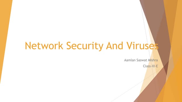 Network security and viruses