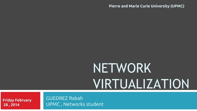 Network virtualization