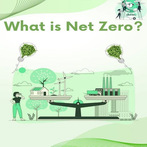 Net Zero.pdf
