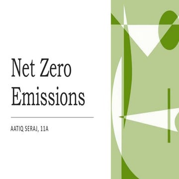 Net Zero.pptx
