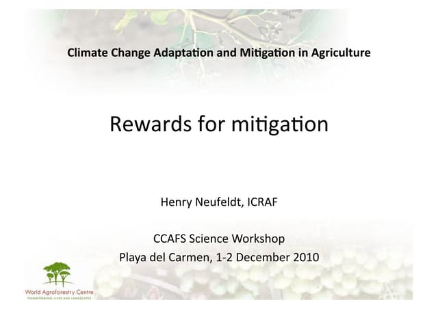 Neufeldt - Rewards for mitigation