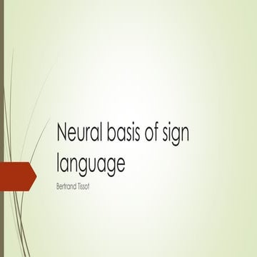 Neural basis of sign language
