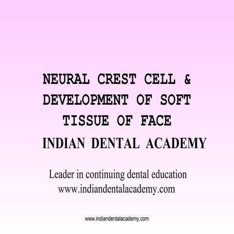 Neural crest cell /certified fixed orthodontic courses by Indian dental academy 
