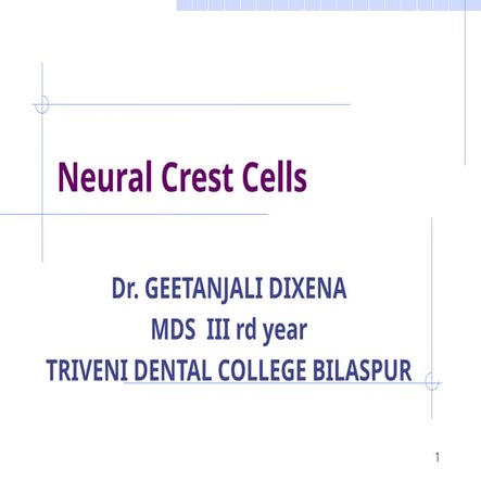 neuralcrestcell.......................pptx