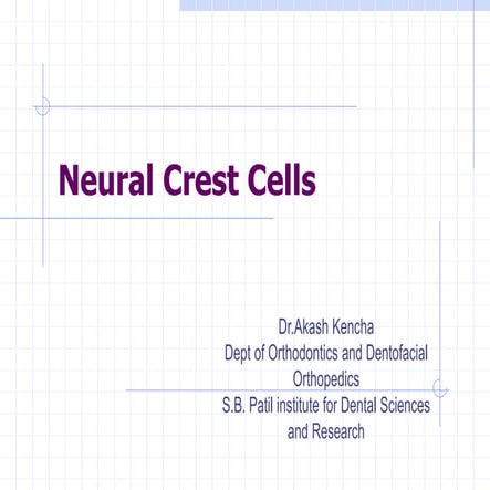 Neural Crest Cells - 1.ppt