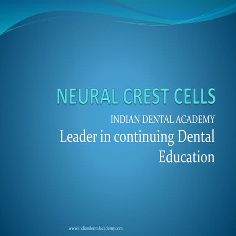 Neural crest cells in 2 parts / dental implant courses by Indian dental academy 