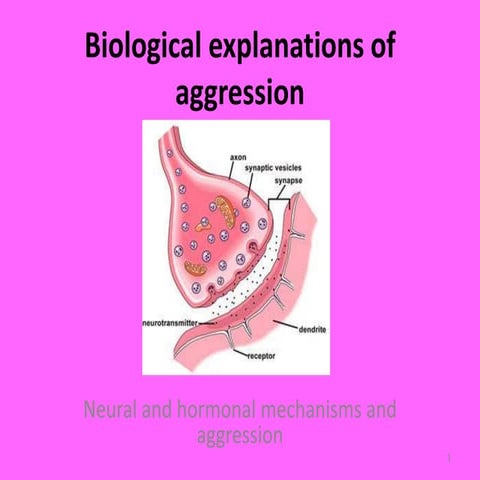 Neural explanations of aggression a2