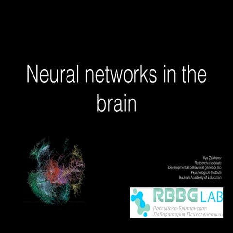Neural networks in the brain