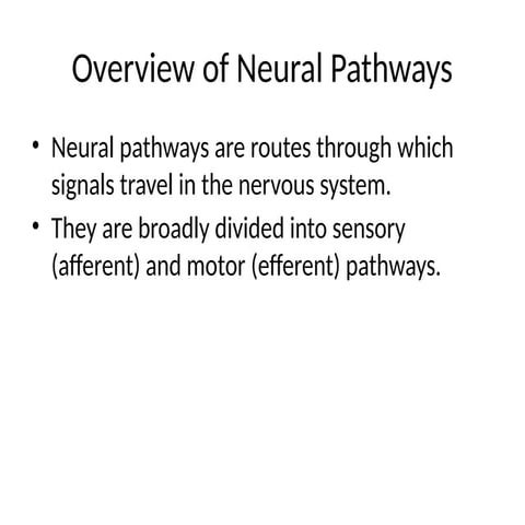 Comprehensive Overview of Neural Pathways: Sensory and Motor Functions ...