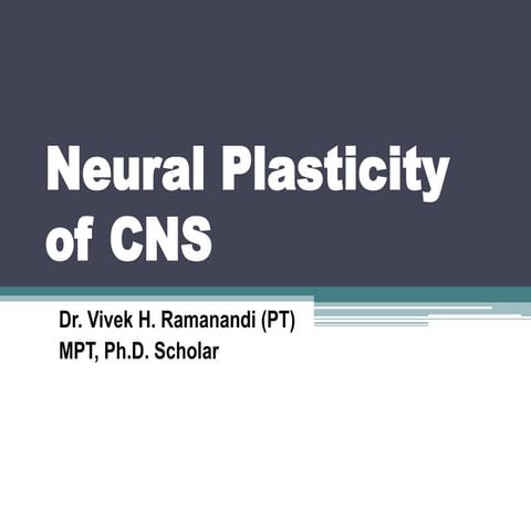 NEURAL PLASTICITY