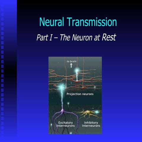 Neural Transmission