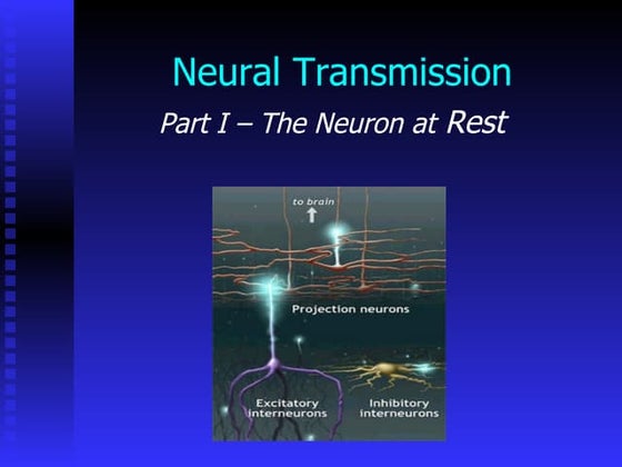 Action potential | PPT