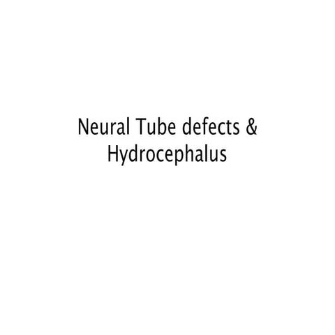 Comprehensive Overview of Neural Tube Defects and Hydrocephalus ...