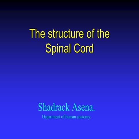 NEURO-ANATOMY ASCENDING AND DESCENDING TRACTS (1).ppt