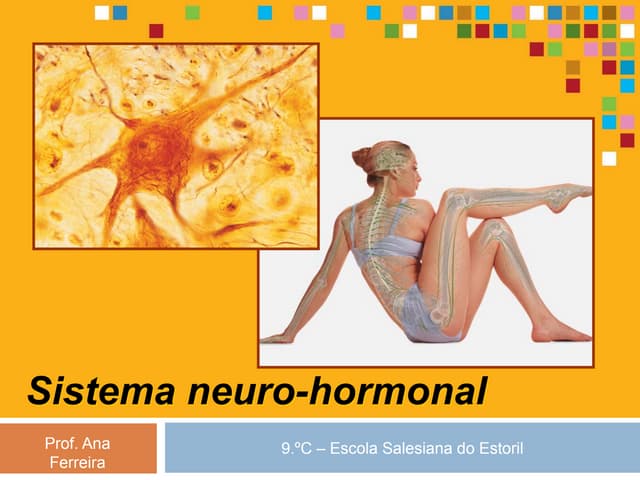 Neuro Hormonal