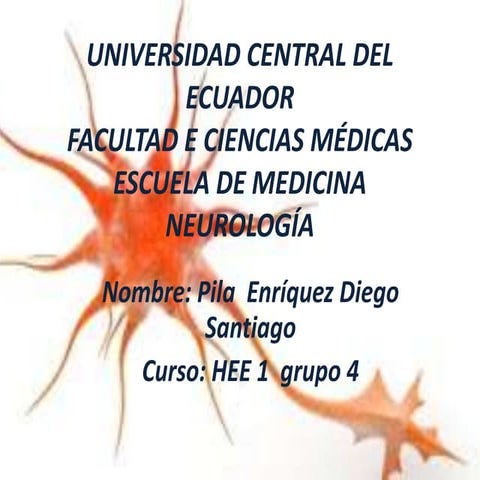 Neuro 1