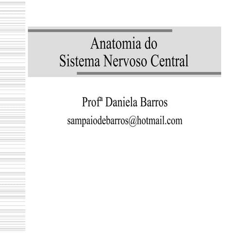 Anatomia Sistema Central