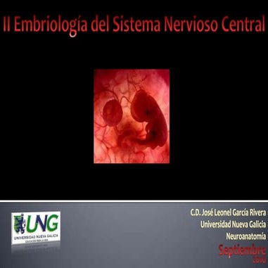 Neuroanatomía_Embriología_UnidadII