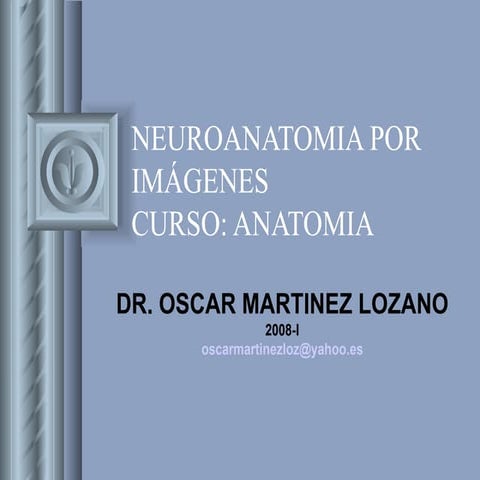 Neuroanatomia Por Imagenes