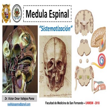Metameras y desarrollo embrionario | PPTX
