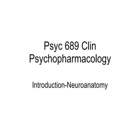 Neuroanatomy