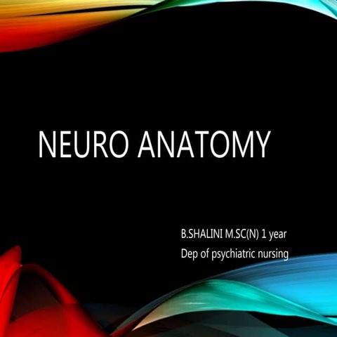 Neuro anatomy