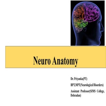 Nervous sytem and its divisions: Neuro Anatomy