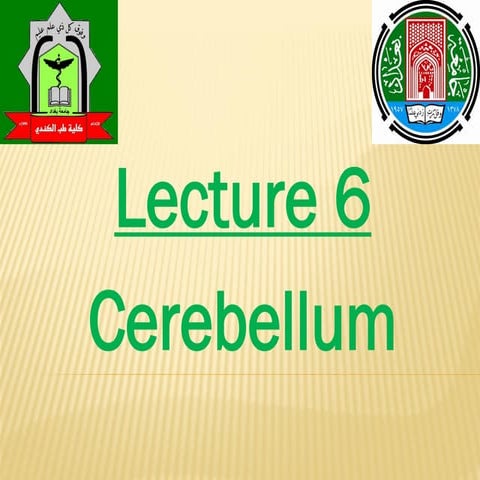 Neuroanatomy Cerebellum-5 (Muhadharaty).pdf