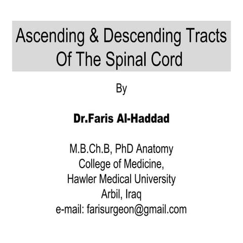 Ascending & Descending Tracts Of The Spinal Cord 