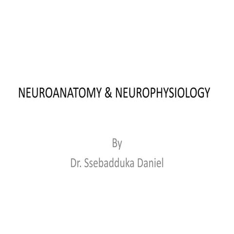 Neuroanatomy & Neurophysiology DCP 1105.ppt