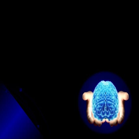 Neuroanatomy of language functions